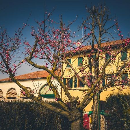 فيلا Le Vigne Morosina Cessalto المظهر الخارجي الصورة