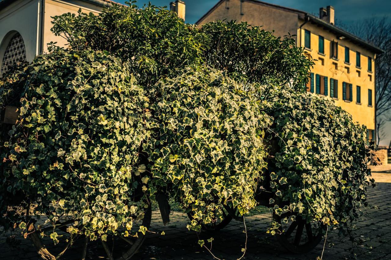 فيلا Le Vigne Morosina Cessalto المظهر الخارجي الصورة