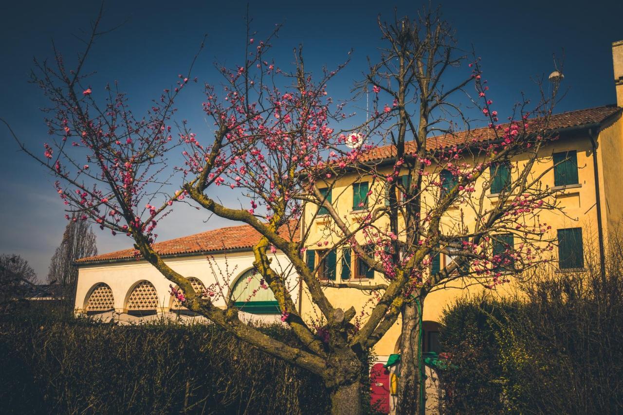 فيلا Le Vigne Morosina Cessalto المظهر الخارجي الصورة